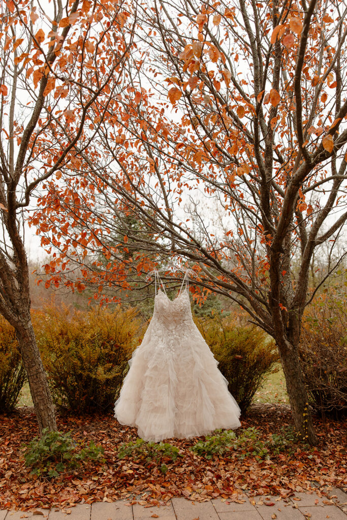 Mariah's reception dress hanging among the fall foliage at RiverStone.